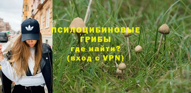 Галлюциногенные грибы MAGIC MUSHROOMS  Советская Гавань 